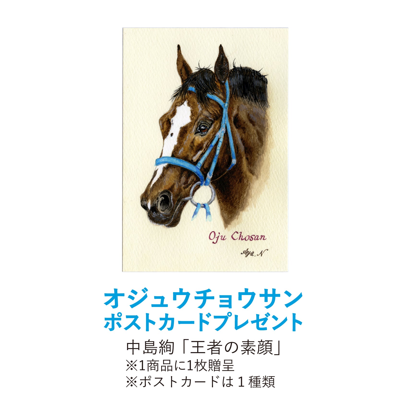 ②◆　競馬　JRA　◆　オジュウチョウサン　◆　引退記念　マグカップ　◆ Yahoo!オークション - オジュウチョウサン マグカップ 引退記念